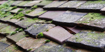 Great Yeldham roof repair costs